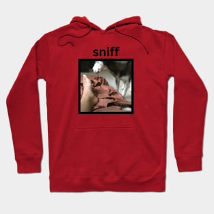 Funny Weird Cute Husky Dog Sniffing Foot Hoodie